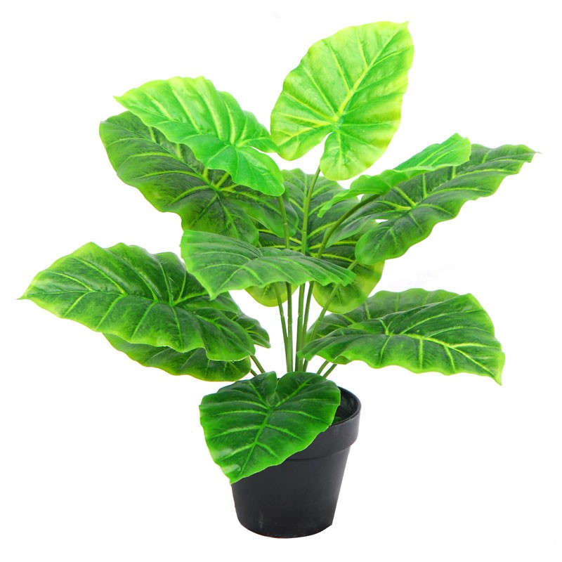 Τεχνητό Φυτό Taro 45cm